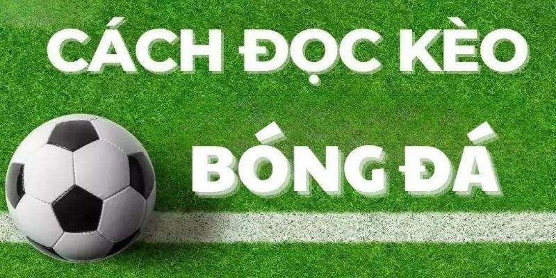 Cách Đọc Kèo Bóng Đá BK8 - Mẹo Hiểu Nhanh Cho Người Mới