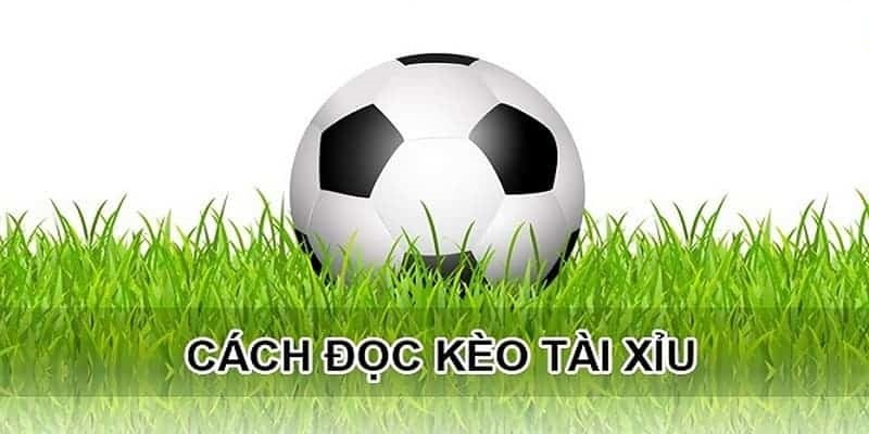 Cách Đọc Kèo Bóng Đá BK8 - Mẹo Hiểu Nhanh Cho Người Mới