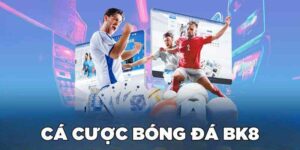 Tin Tức BK8 – Cập Nhật Nhanh Chóng Các Thông Tin Cá Cược