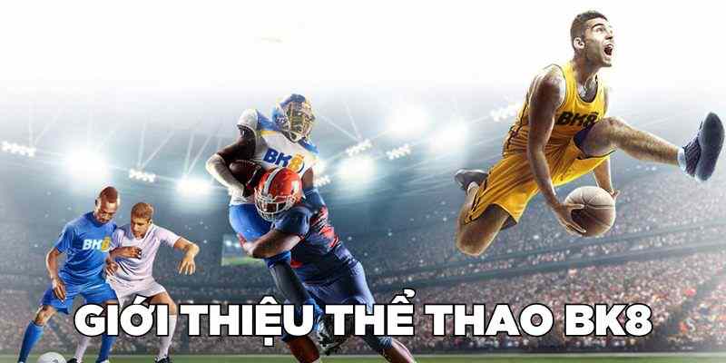 Thể Thao BK8 - Nền Tảng Đẳng Cấp Trong Việc Ra Kèo Cá Cược