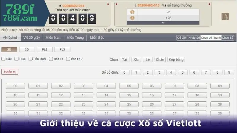 Xổ Số Vietlott 789F - Những Điều Cần Biết Khi Chơi Cá Cược