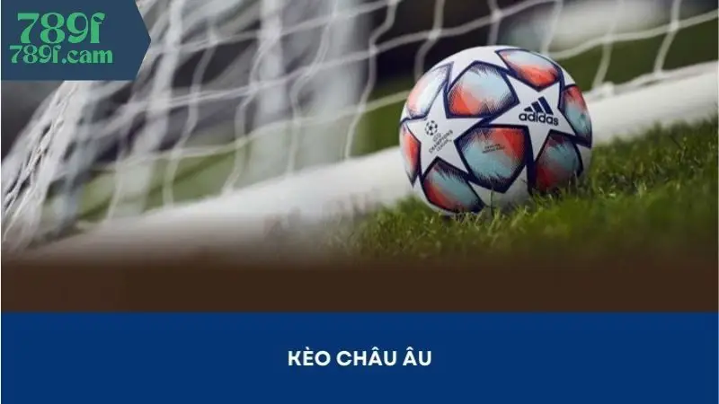 Kèo Thẻ Phạt: Những Thông Tin Người Chơi Không Nên Bỏ Qua