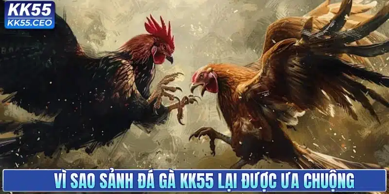 Đá Gà KK55 - Sân Chơi Chọi Kê Uy Tín Hàng Đầu Việt Nam