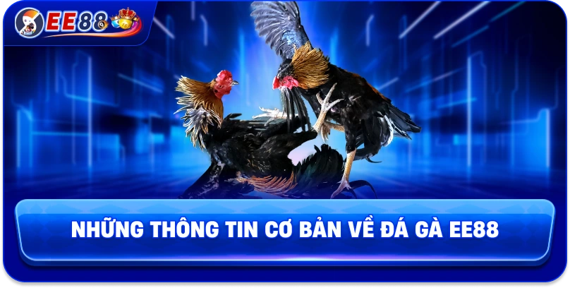 Đá Gà EE88 – Sân Chơi Kịch Tính Của Những Chiến Kê Hàng Đầu