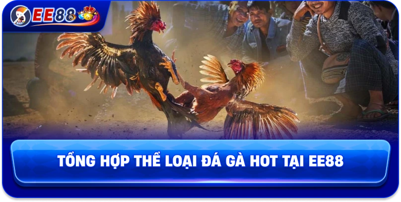 Đá Gà EE88 – Sân Chơi Kịch Tính Của Những Chiến Kê Hàng Đầu