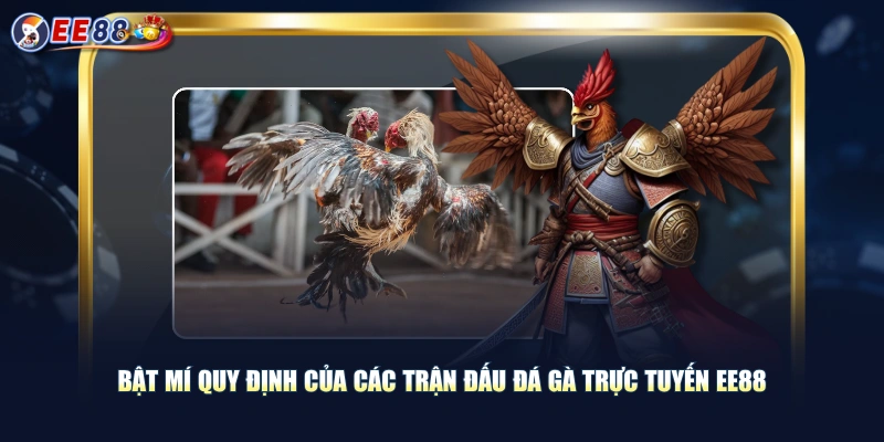Theo Dõi Đá Gà Trực Tuyến Trận Đấu Đỉnh Cao Cực Kỳ Kịch Tính