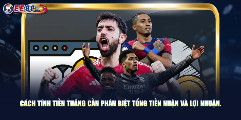 Giới Thiệu Kèo Châu Âu, Các Loại Hình Đặt Cược, Tính Tiền