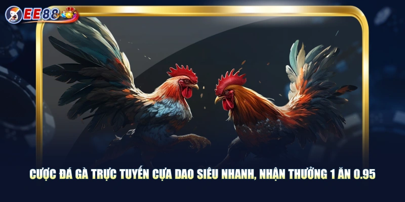 Theo Dõi Đá Gà Trực Tuyến Trận Đấu Đỉnh Cao Cực Kỳ Kịch Tính