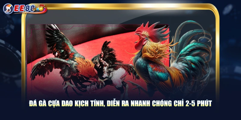 Trải Nghiệm Đá Gà Cựa Dao Màn Tranh Tài Kịch Tính Mỗi Ngày