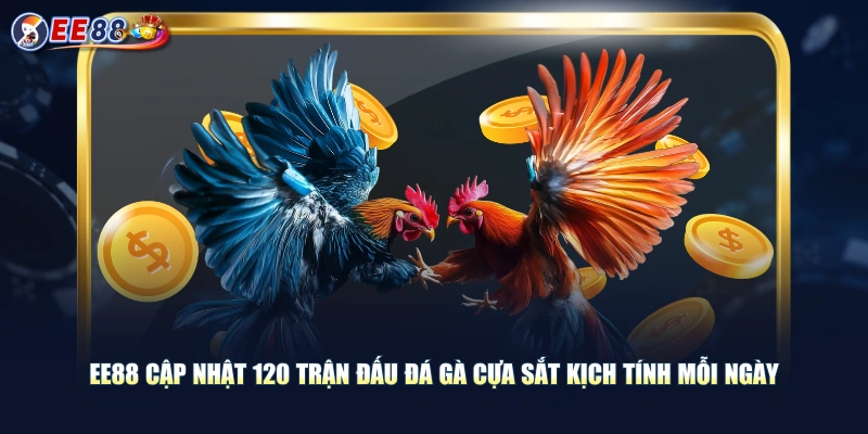 Theo Dõi Đá Gà Cựa Sắt Thỏa Đam Mê Cá Cược Nhận Thưởng Khủng