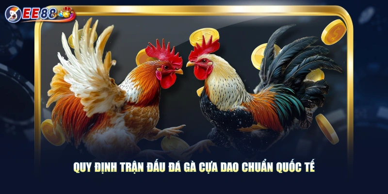 Trải Nghiệm Đá Gà Cựa Dao Màn Tranh Tài Kịch Tính Mỗi Ngày