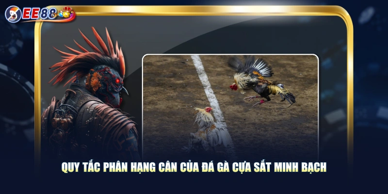 Theo Dõi Đá Gà Cựa Sắt Thỏa Đam Mê Cá Cược Nhận Thưởng Khủng