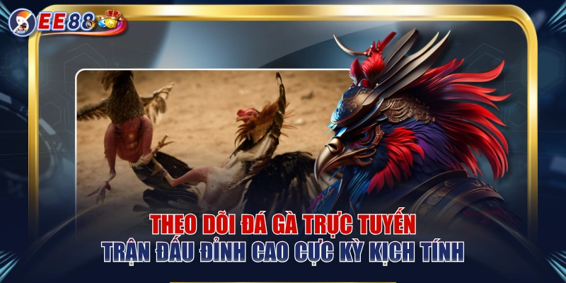 Đá Gà EE88 – Theo Dõi Trận Đấu Kịch Tính Trực Tuyến