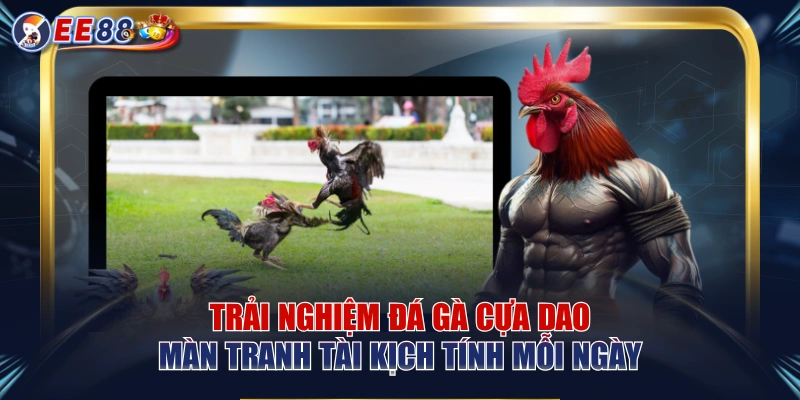 Đá Gà EE88 – Theo Dõi Trận Đấu Kịch Tính Trực Tuyến